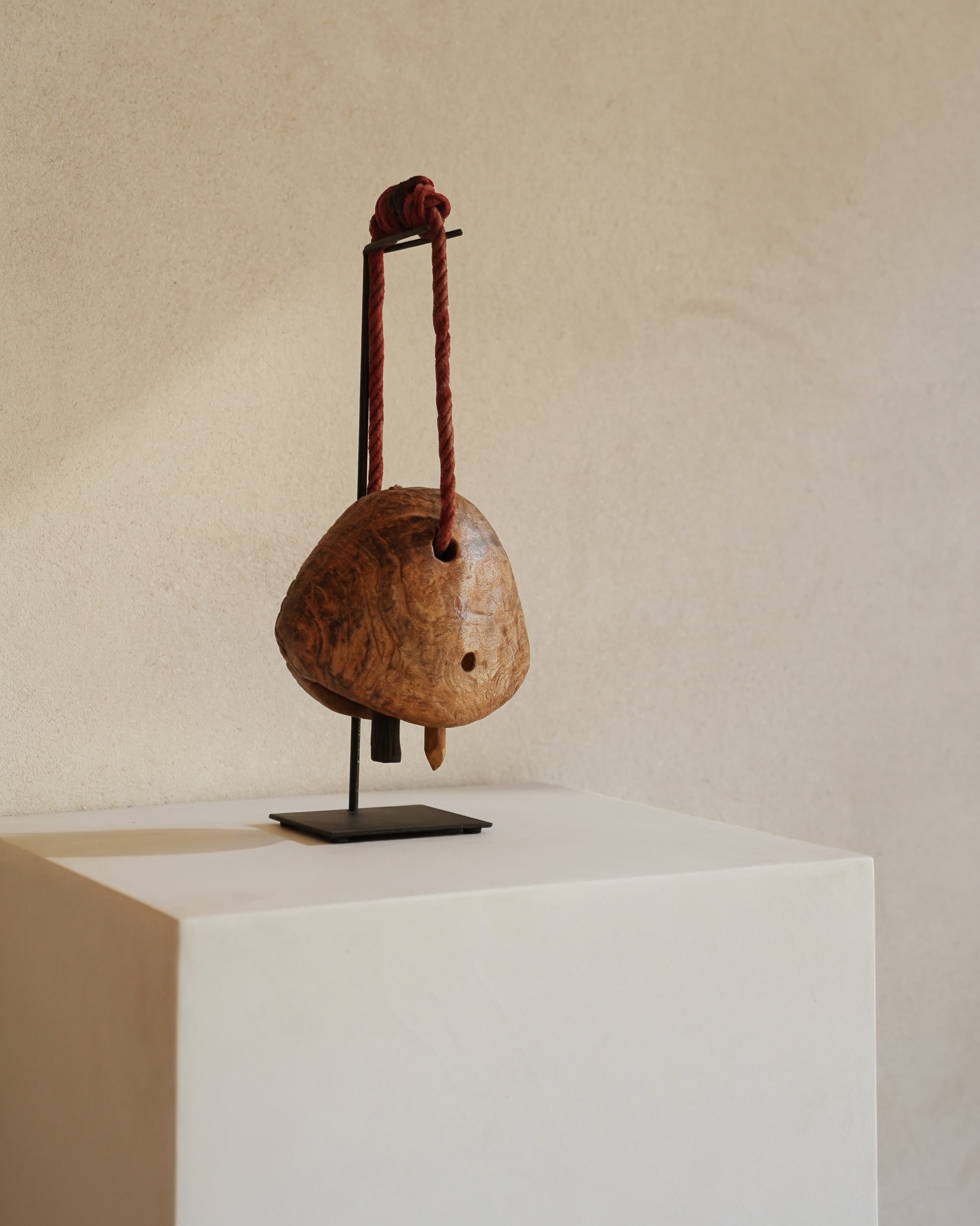 Camel Bell Currency 02