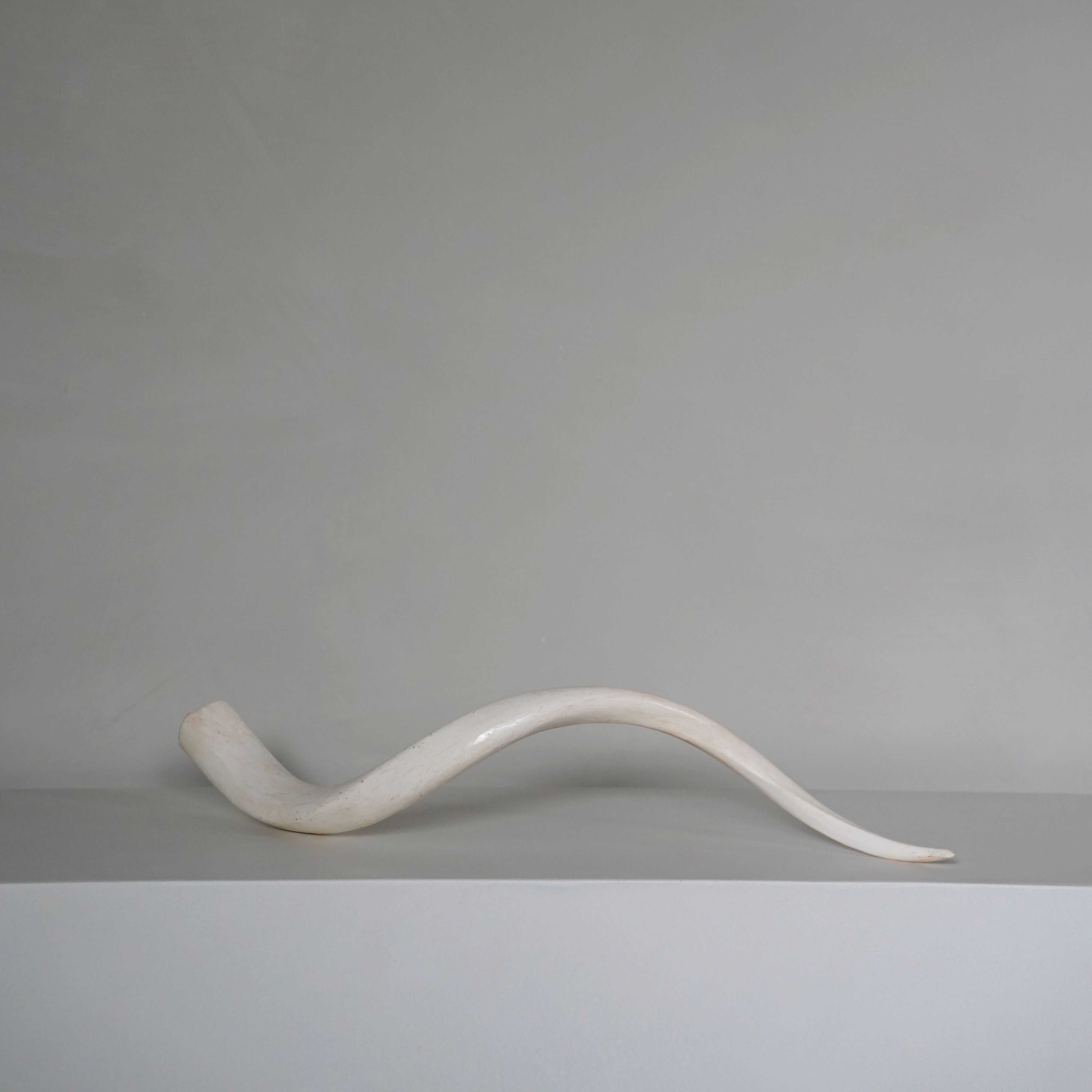 Kudu Horn