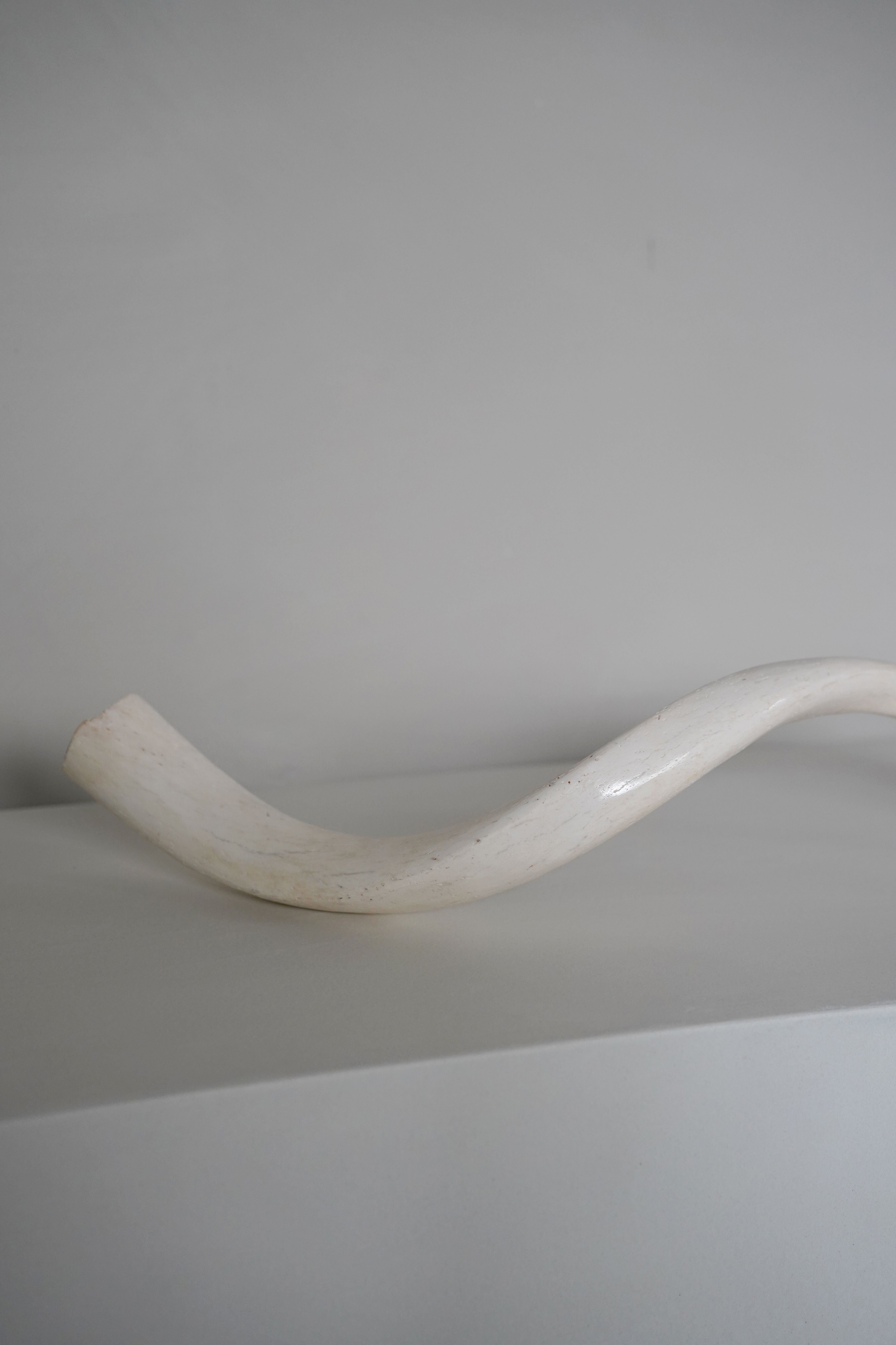 Kudu Horn