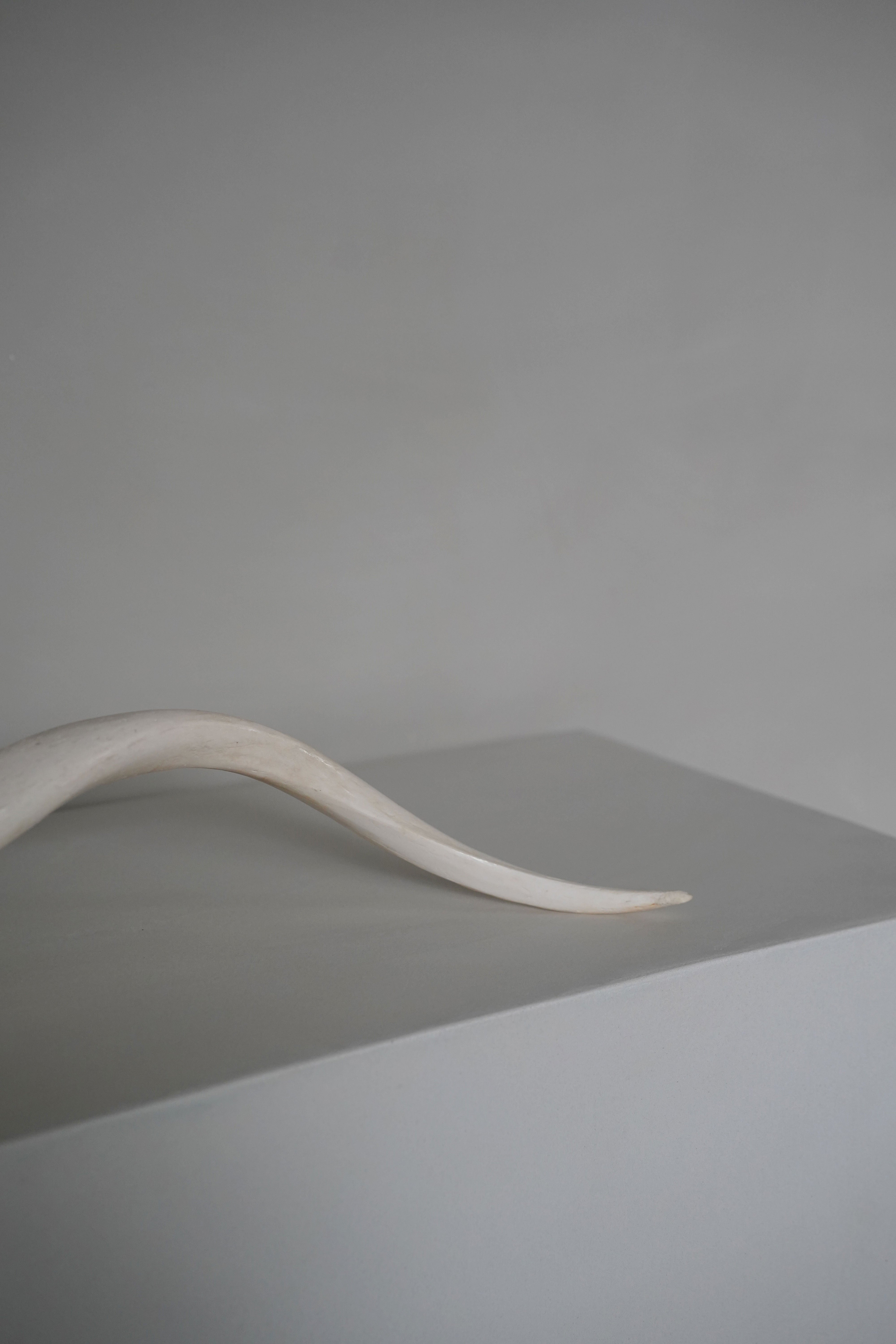 Kudu Horn
