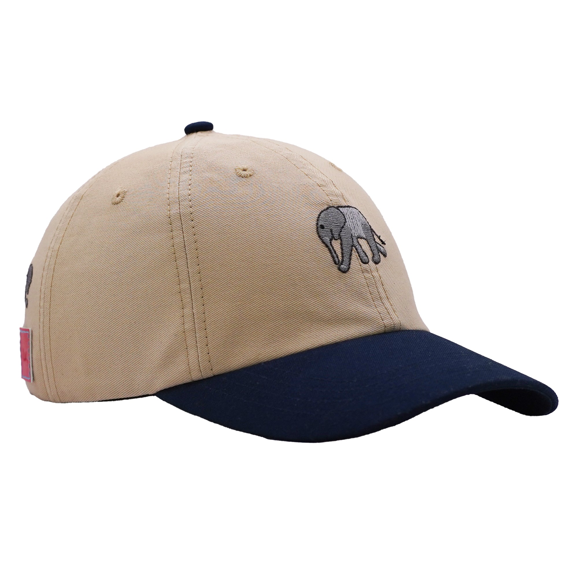 Organic Cotton Cap