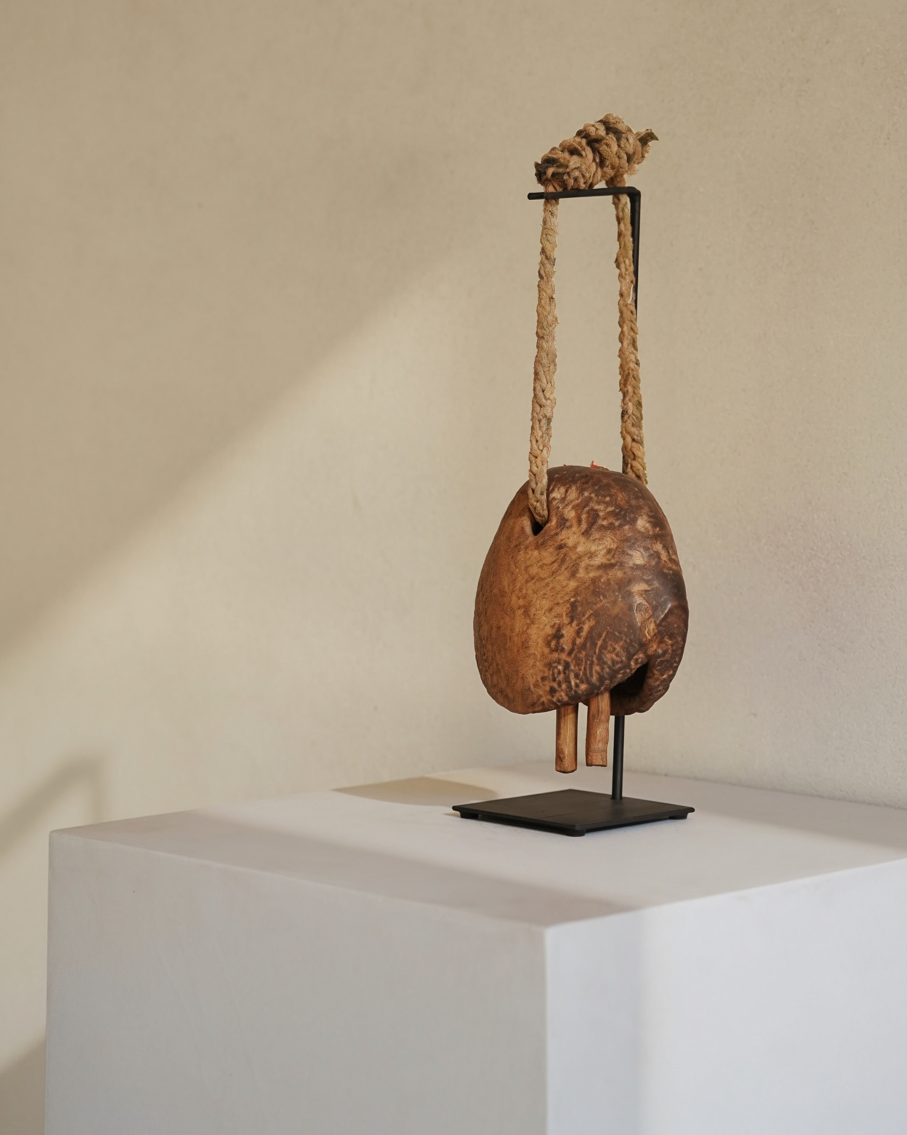 Camel Bell Currency 03