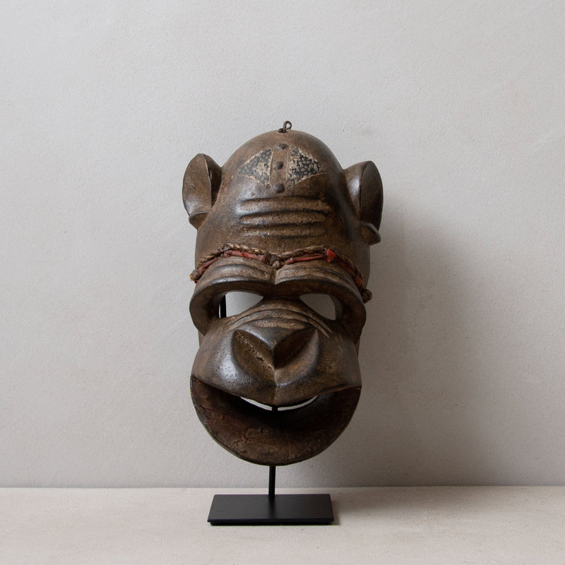  Dan Mask 