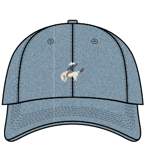 Rodeo
