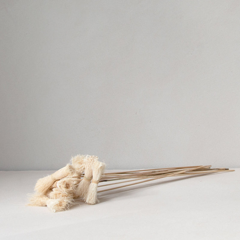 Asili Stems