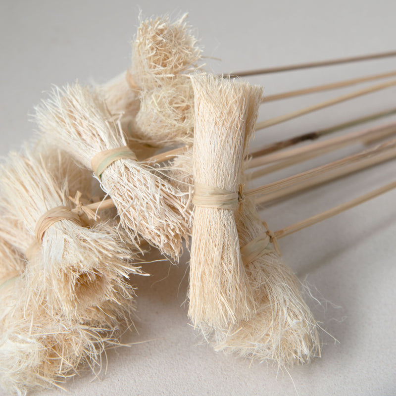 Asili Stems