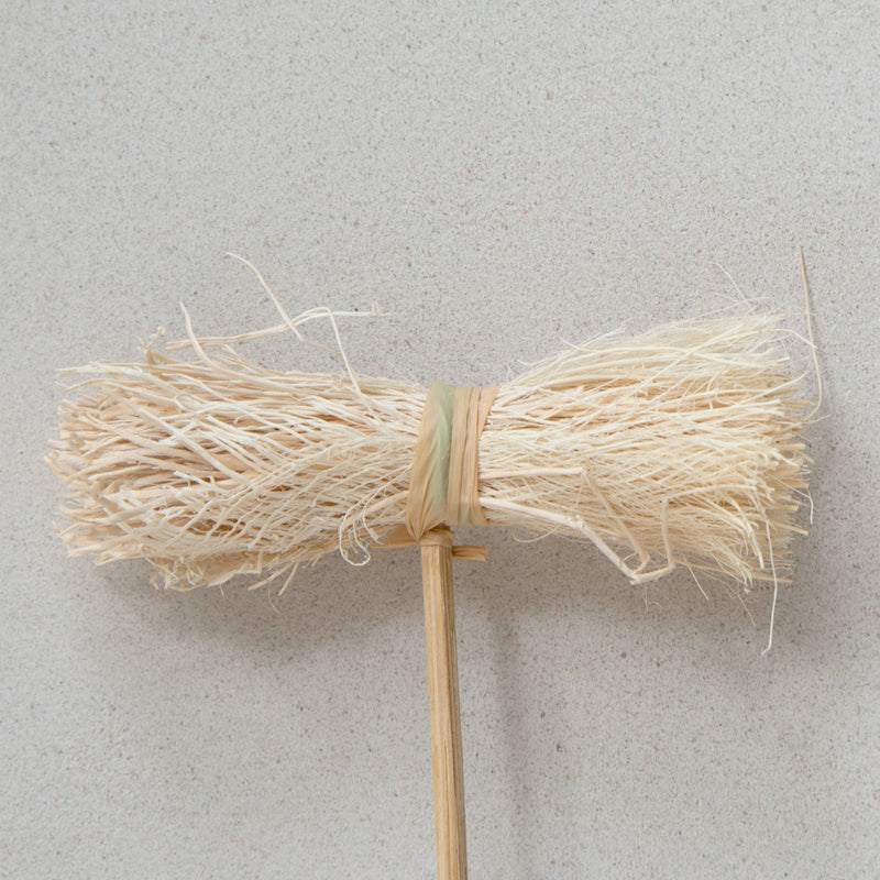 Asili Stems