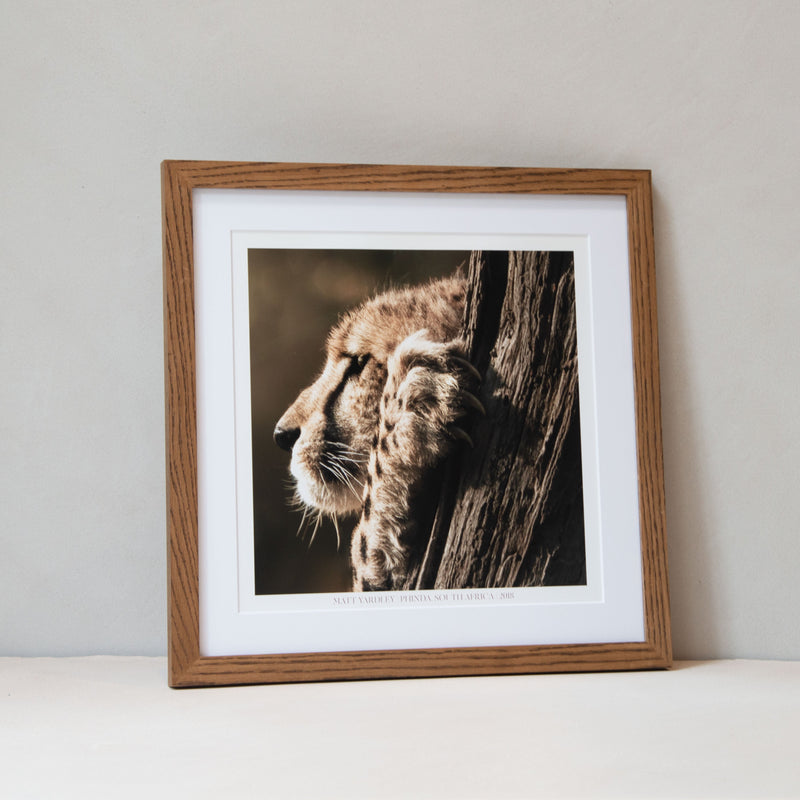 Framed Picture