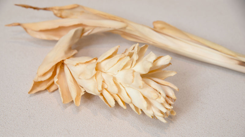 Ginger Flower