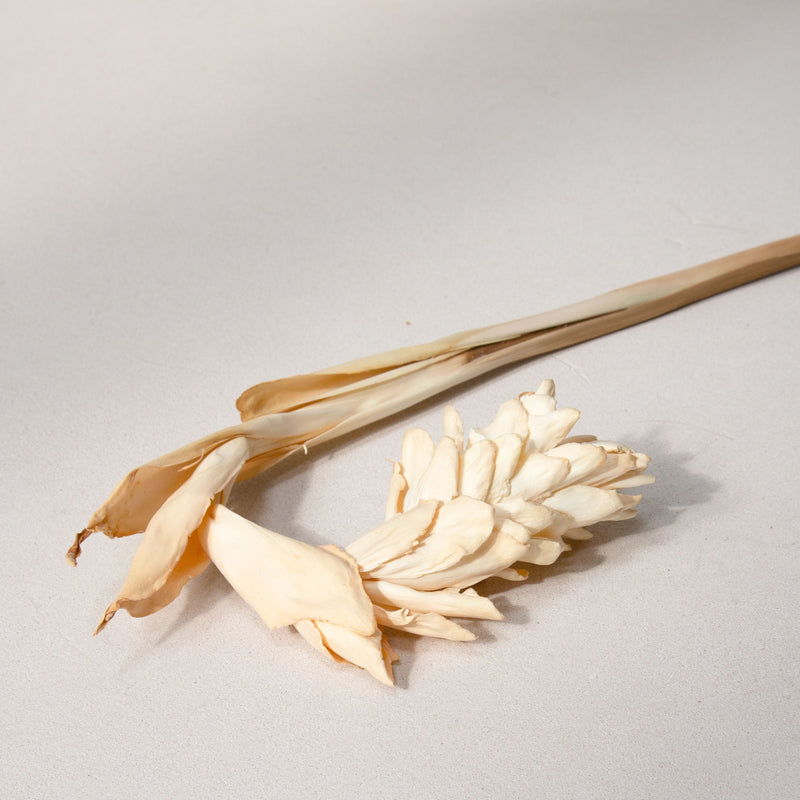 Ginger Flower