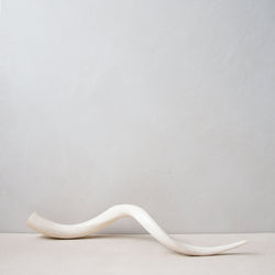 Kudu Horn