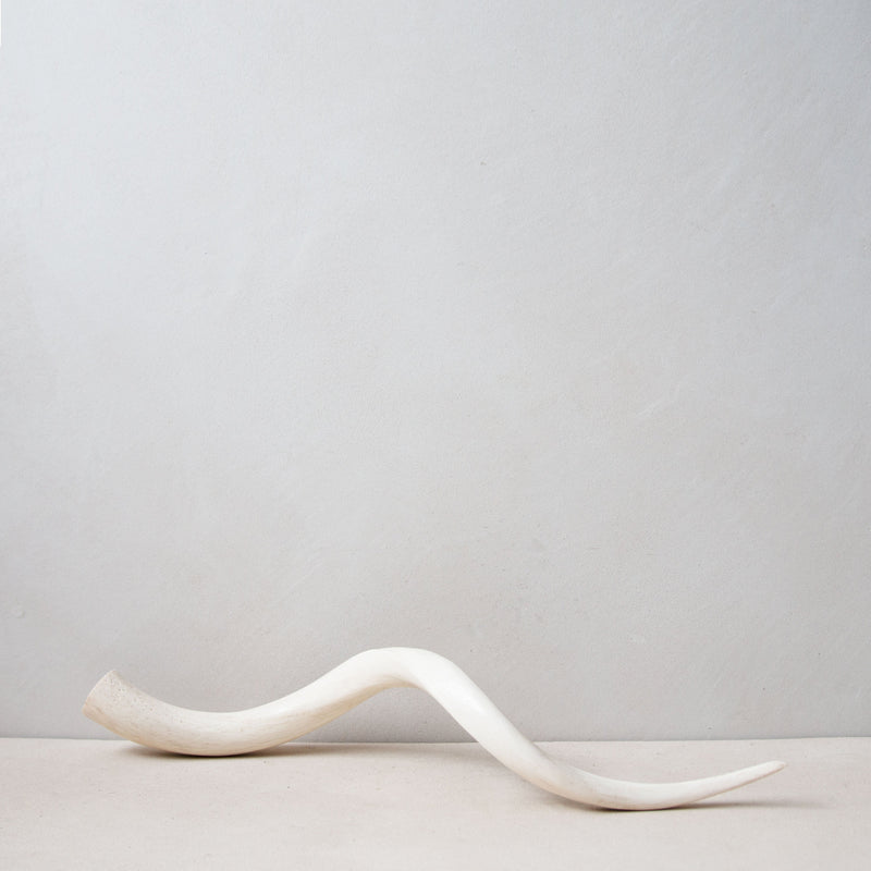 Kudu Horn