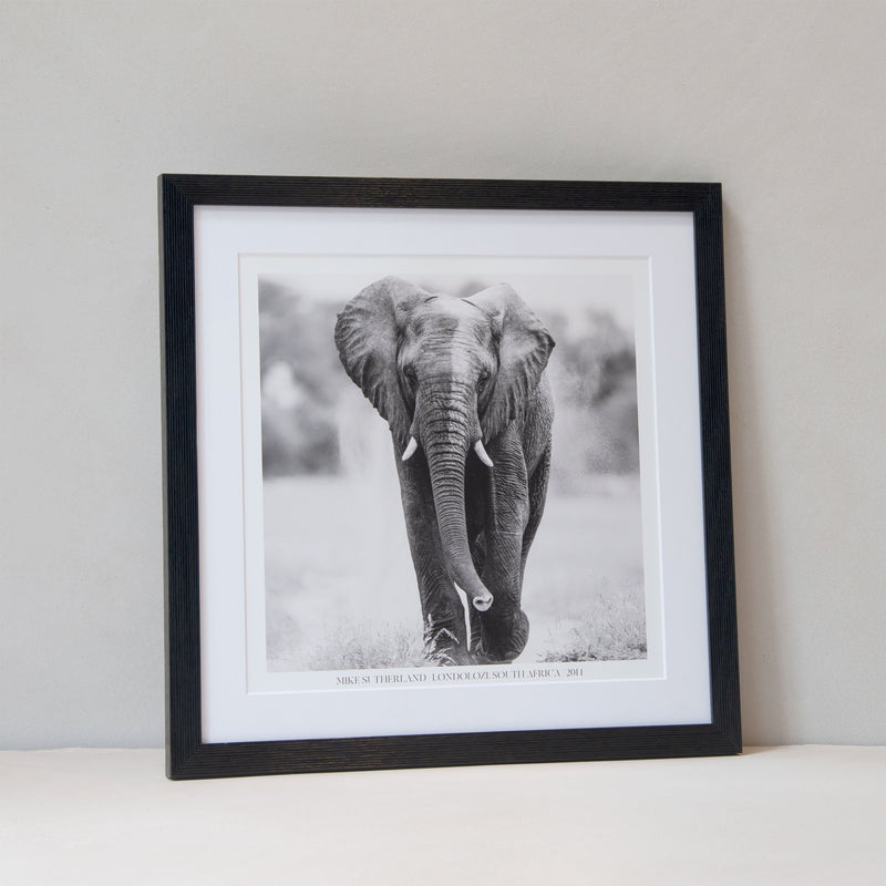 Framed Picture