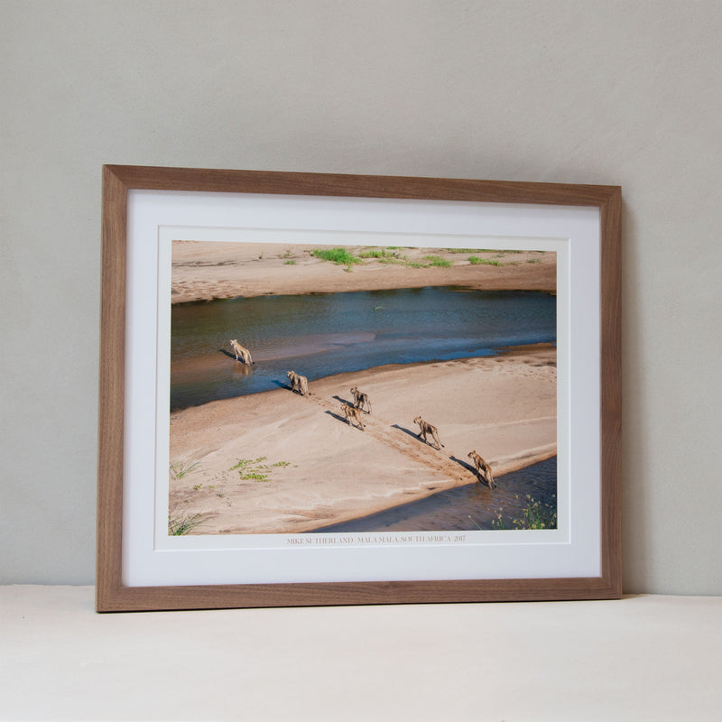 Framed Picture
