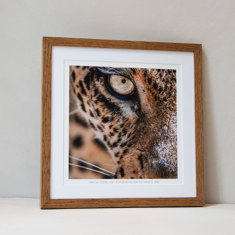 Picture Frame